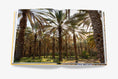 Load image into Gallery viewer, Arabian Leopard (Ultimate)