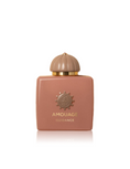 Load image into Gallery viewer, Amouage Guidance 100ml EDP