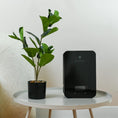 Load image into Gallery viewer, Scent Diffuser Vera