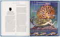 Load image into Gallery viewer, The Fairy Tales of Hans Christian Andersen
