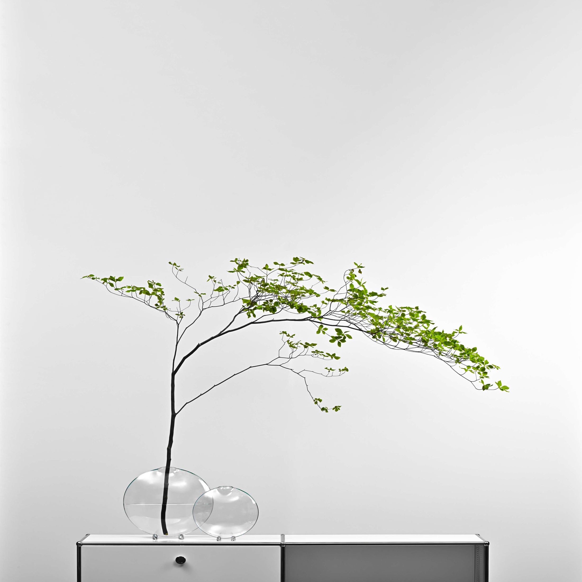 Fishmouth Vase-L