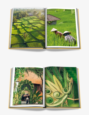 ASSOULINE Bali Mystique Book