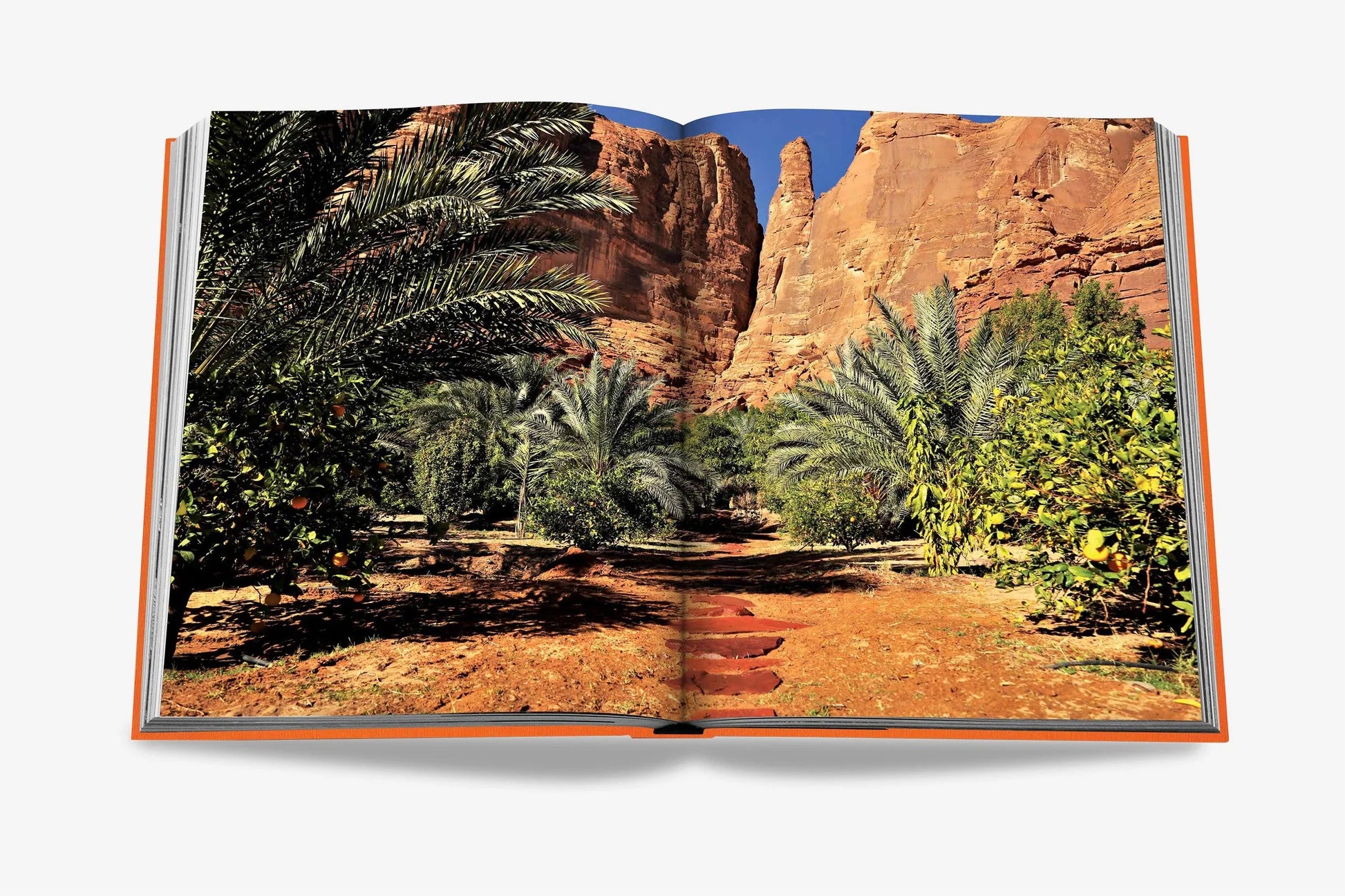 كتاب "العُلا للأبد" من أسولين