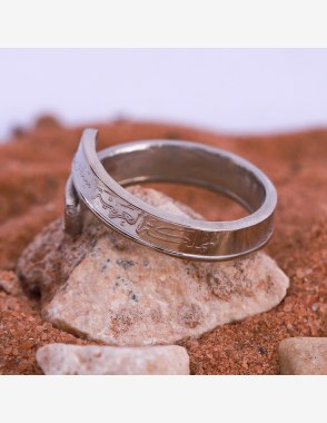 HOLAI Silver Colored Coin Ring Opened Shape | Size 5
