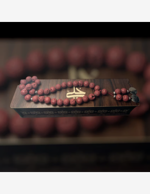 HOLAI Red Volcanic Stone Beads with Silver Coin