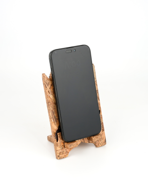 JARID Foundation Day Mobile Stand