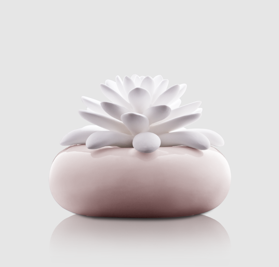 Rose Garden Mini Diffuser