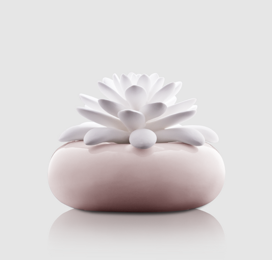 Rose Garden Mini Diffuser