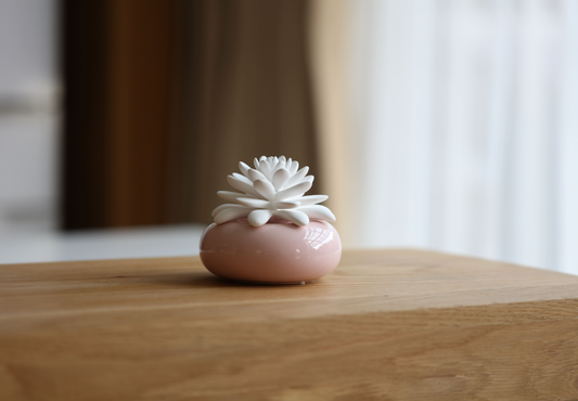 Rose Garden Mini Diffuser