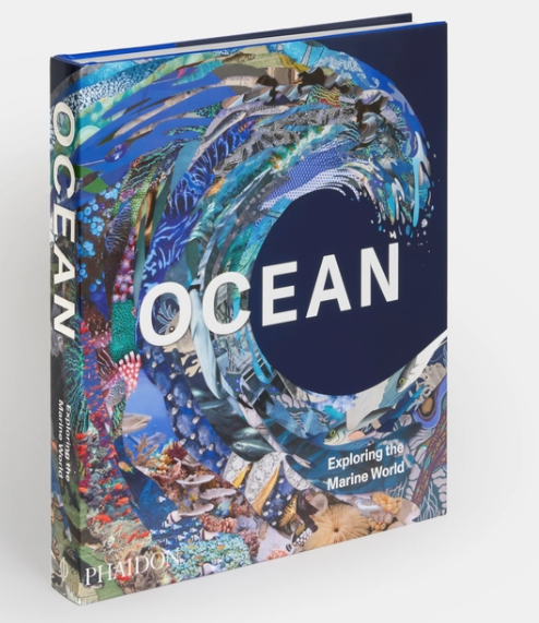 PHAIDON Ocean