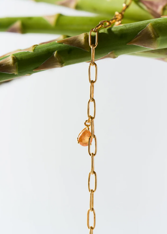 NEW BEGINNINGS 18K bracelet Carnelian Moonstone