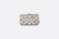 Load image into Gallery viewer, Dior Clutch Bag-LIMITED EDITION
