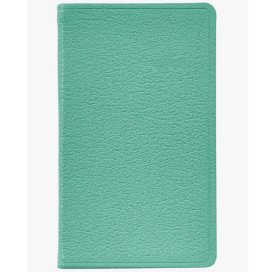 GRAPHIC IMAGE 2025 5inc Pocket Datebook Robin Egg Blue - Goatskin Leather