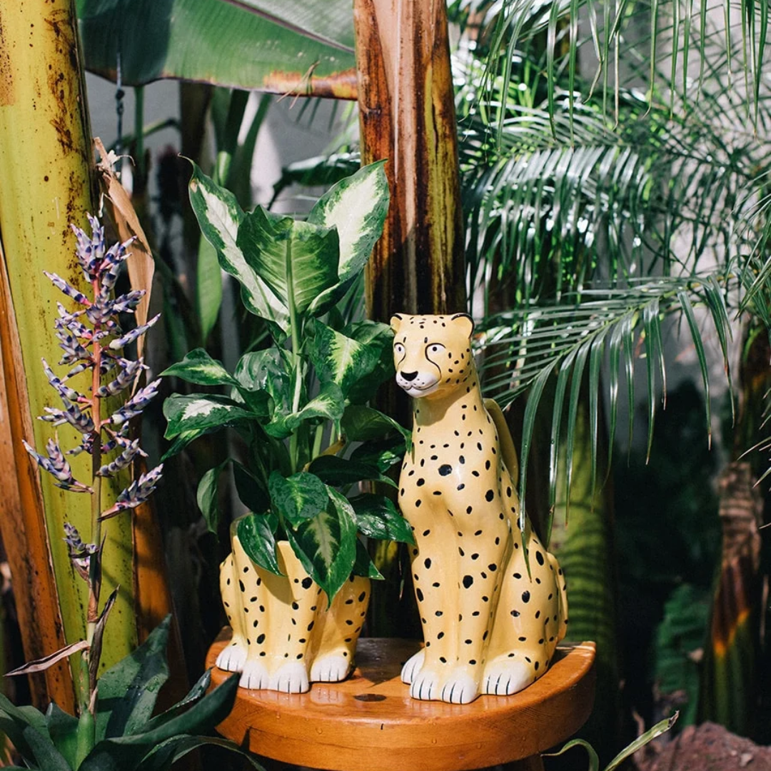DOIY Plant Pot Urban Jungle Cheetah