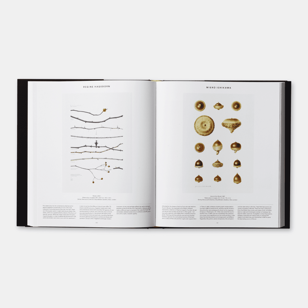 PHAIDON Plant : Exploring the Botanical World (2016)