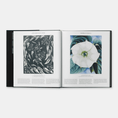 Load image into Gallery viewer, PHAIDON Plant : Exploring the Botanical World (2016)
