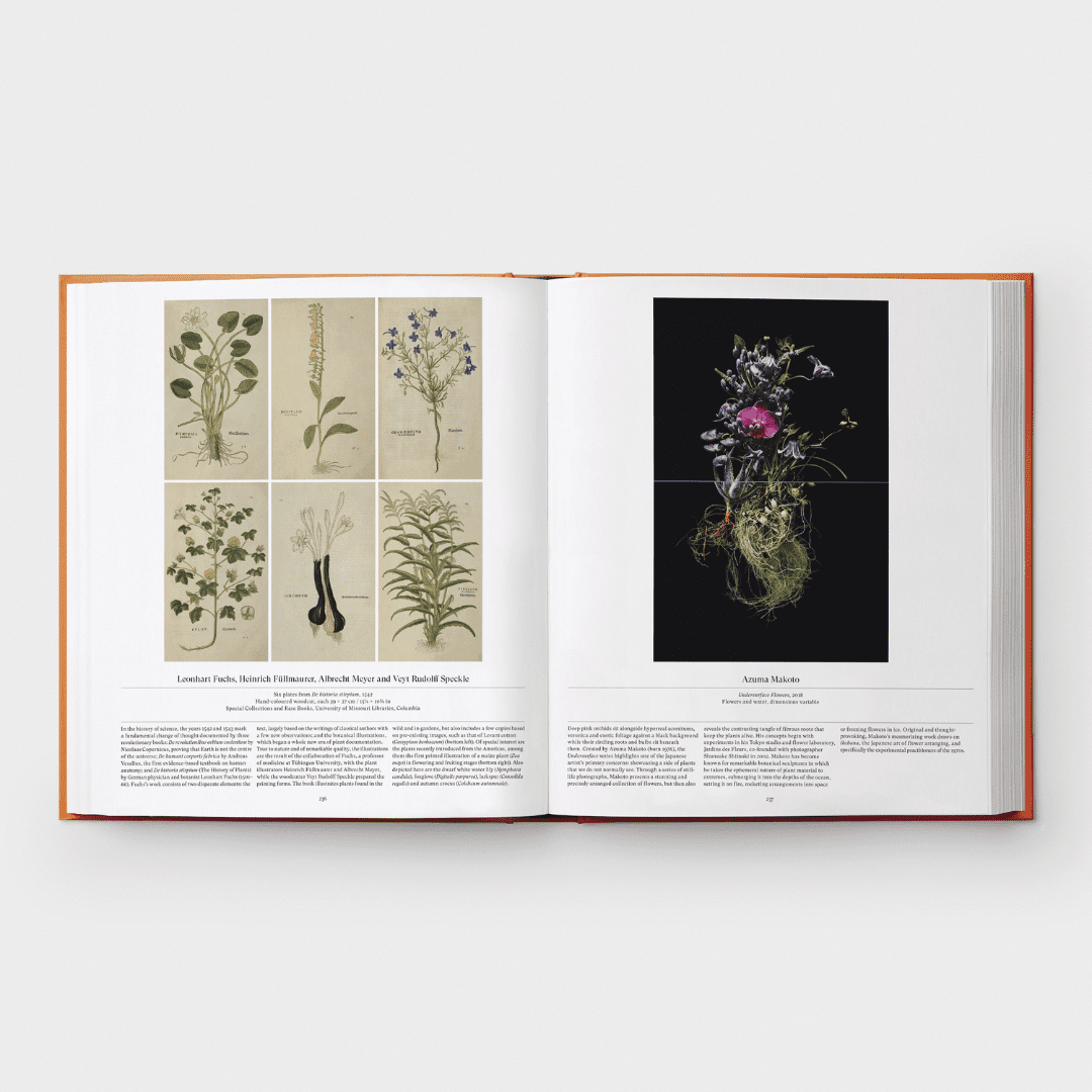 PHAIDON Flower : Exploring the World in Bloom (2020)