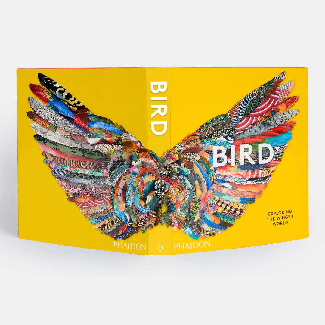 Bird: Exploring the Winged World (2021)