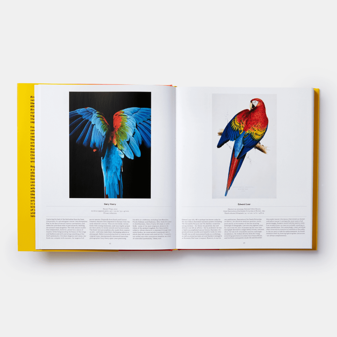 PHAIDON Bird: Exploring the Winged World (2021)