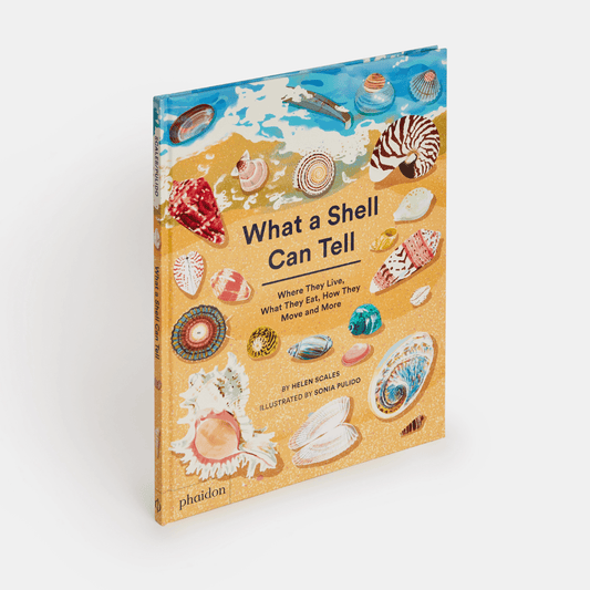 PHAIDON What A Shell Can Tell Book