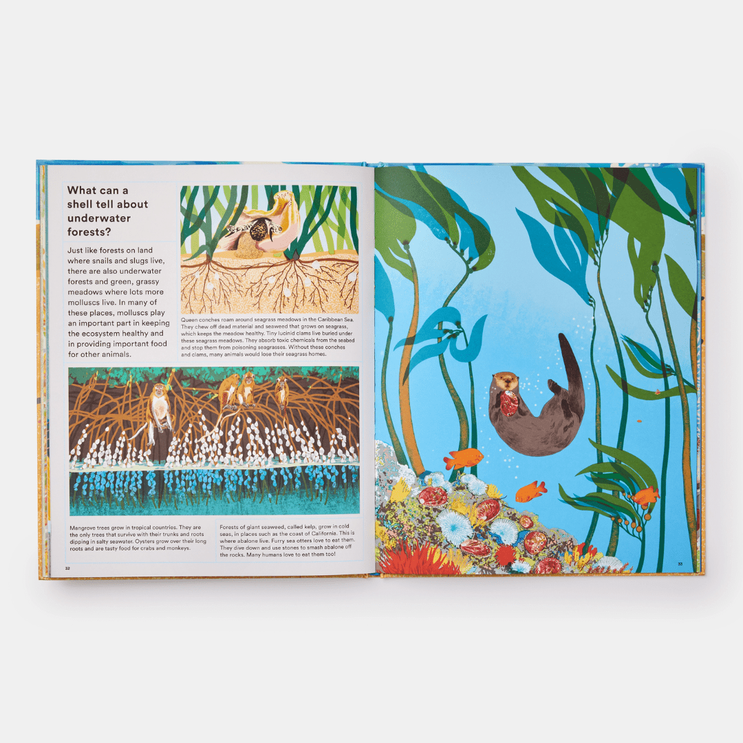 PHAIDON What A Shell Can Tell Book