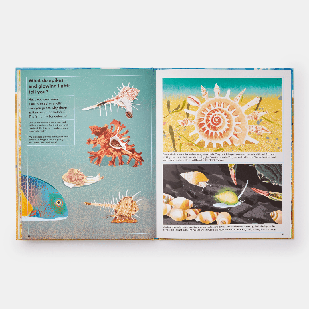 PHAIDON What A Shell Can Tell Book