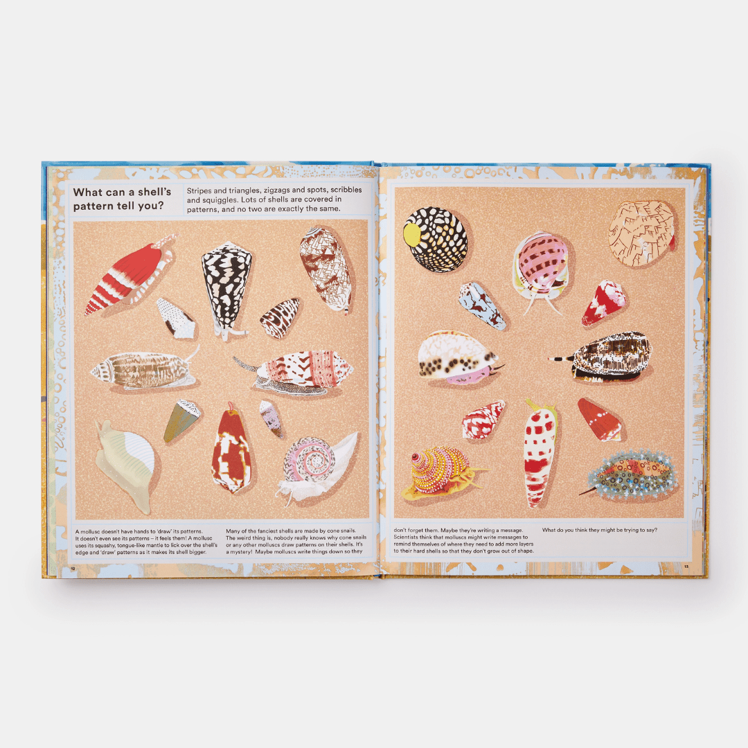 What A Shell Can Tell (2022)