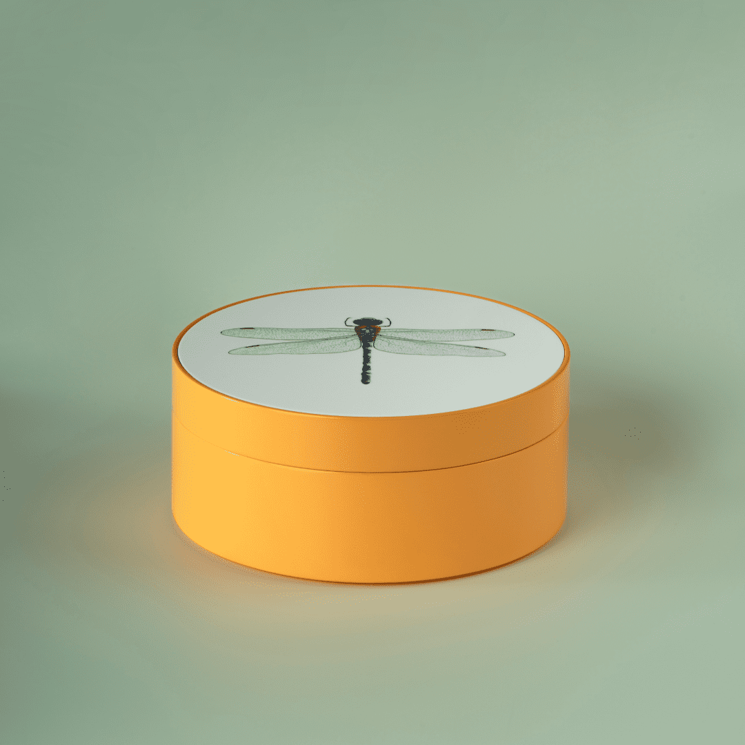 RESONG Paint finish single box Orange