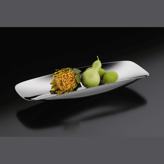 Resong Stainless steel tray